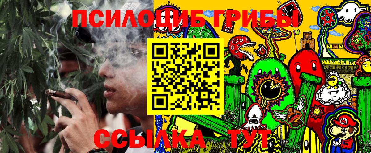Псилоцибиновые грибы Cubensis  сколько стоит  Калуга  Псилоцибиновые грибы Magic Shrooms  Вход с VPN 